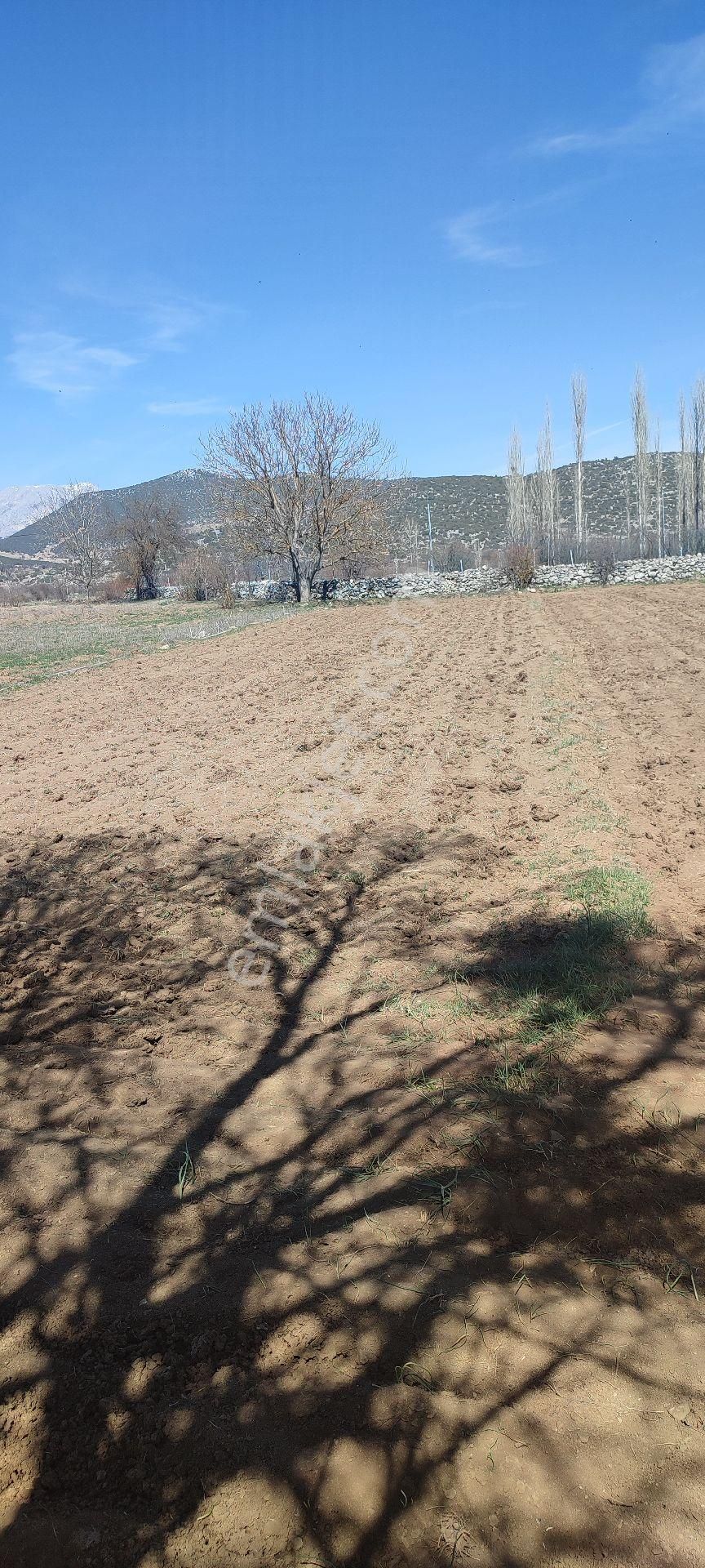 İlan Fotoğrafı